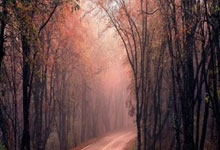 米卢布阿舒利蒙取得连胜，实力升级