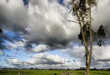 乌克兰队在关键时刻斩获胜利，成功晋级