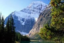 乌克兰队在关键时刻斩获胜利，成功晋级