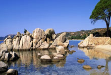 国内女足联赛机构公布最新排名，交战激烈